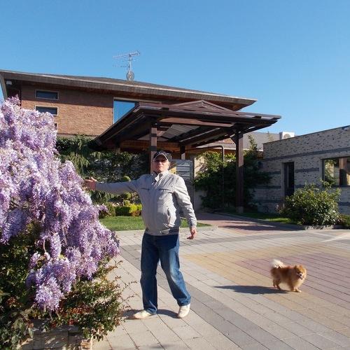 Photo #3867641