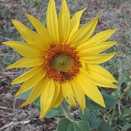Photo #3867696