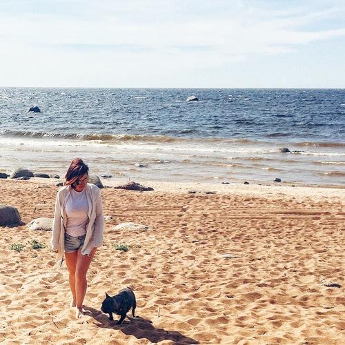 Photo #3868573