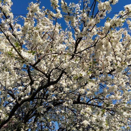 Photo #3869872