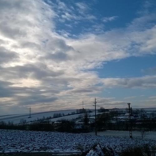 Photo #3869886