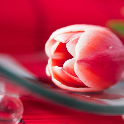 Photo #3870018