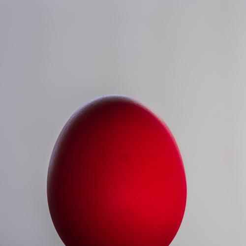 Photo #3870410