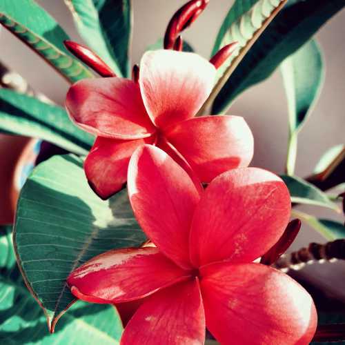 Photo #3870498