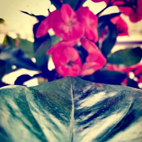 Photo #3870500