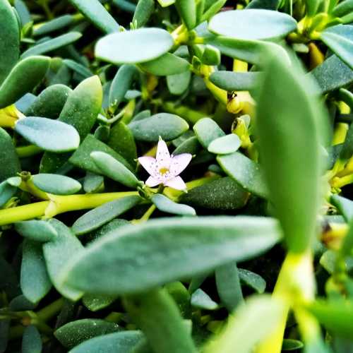 Photo #3870524