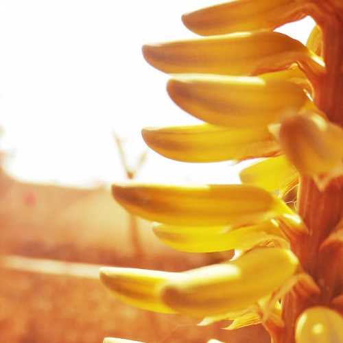 Photo #3870540