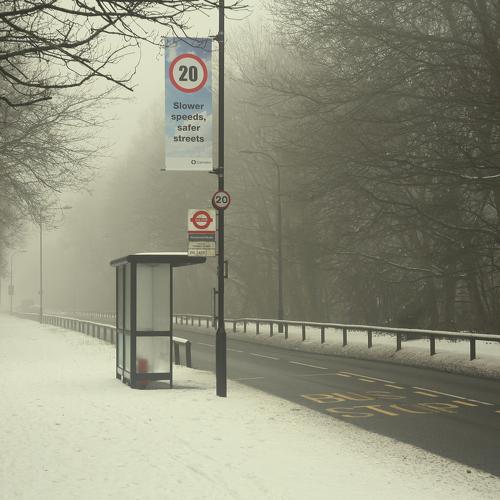 Photo #3870713