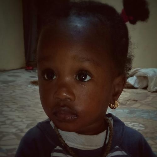 Photo #3871237