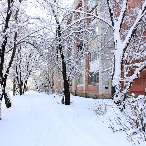Photo #3871494