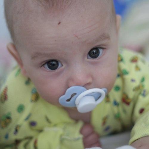 Photo #3872040
