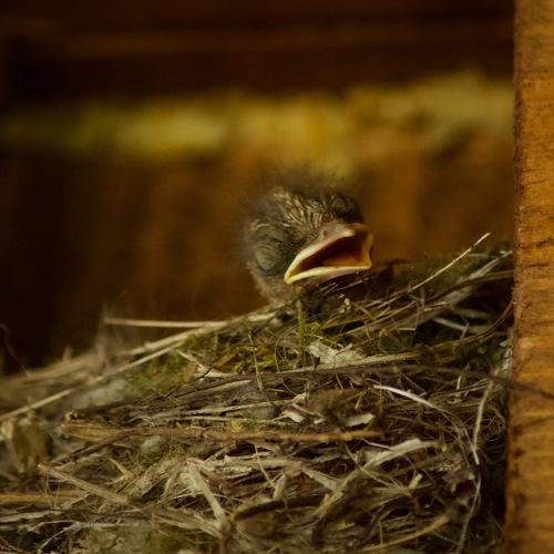 Photo #3872892
