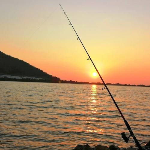 Photo #3872902