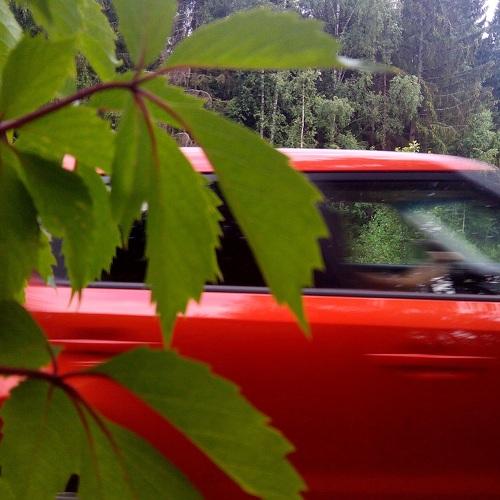 Photo #3873033