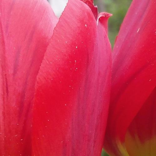 Photo #3873040