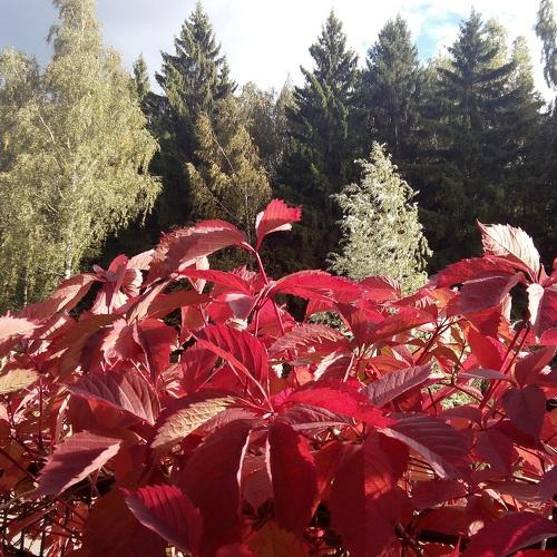Photo #3873047