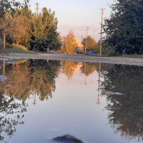 Photo #3873060