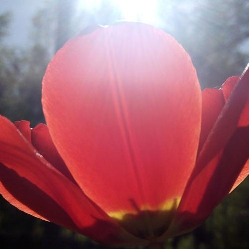 Photo #3873061
