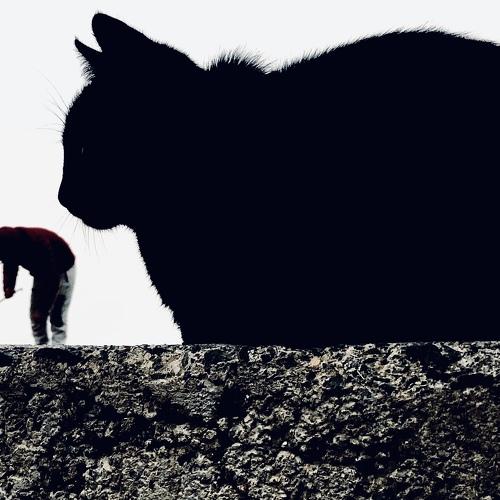 Photo #3874072