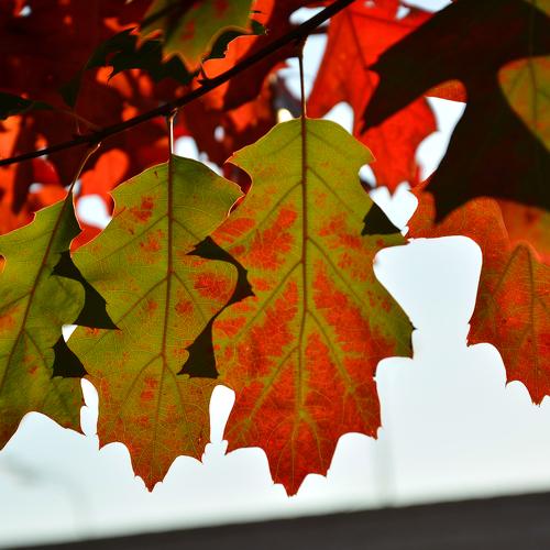 Photo #3874402