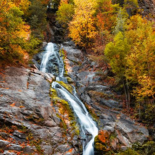 Photo #3874791