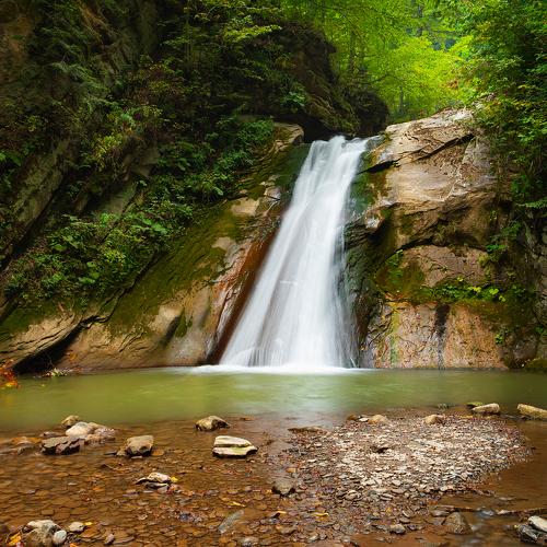 Photo #3874815