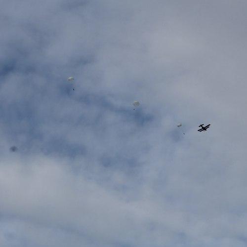 Photo #3875013