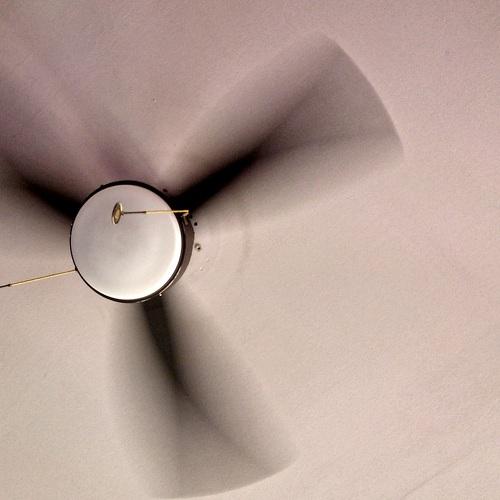Photo #3875033