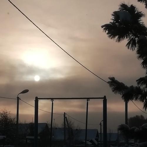 Photo #3875038
