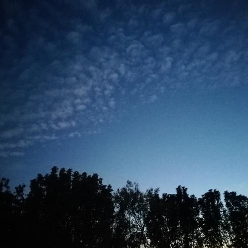 Photo #3875051