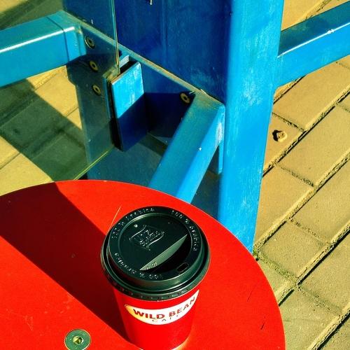 Photo #3875054