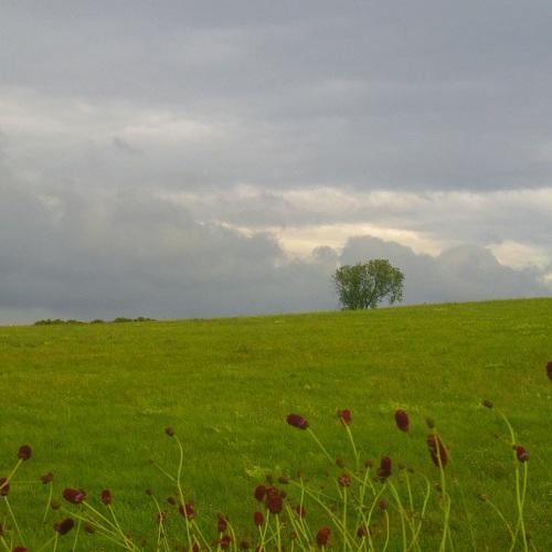 Photo #3875055