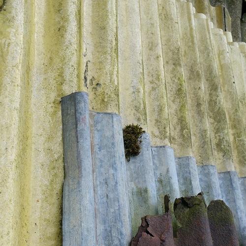Photo #3875058