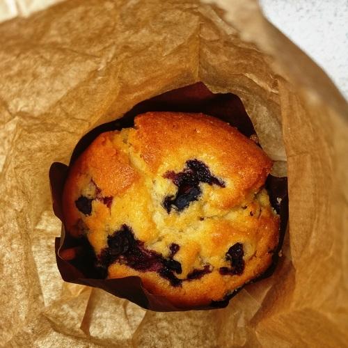 Photo #3875063