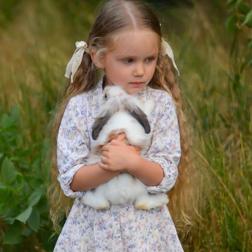 Photo #3875124