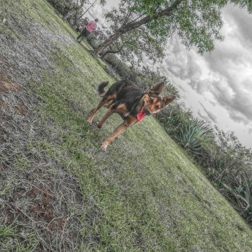 Photo #3875931