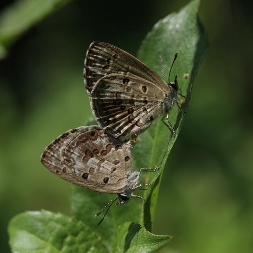 Photo #3876000