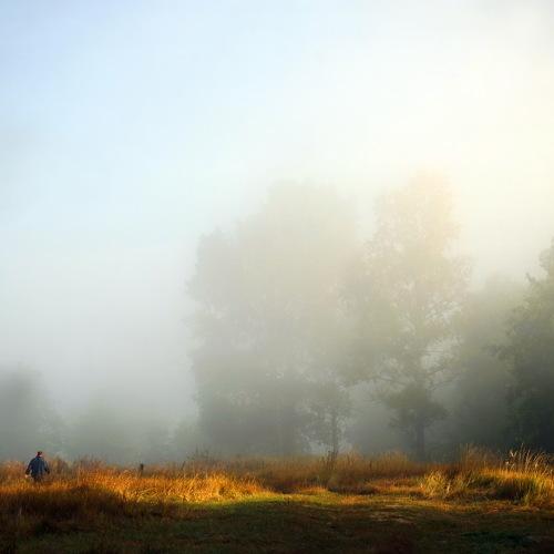 Photo #3876257
