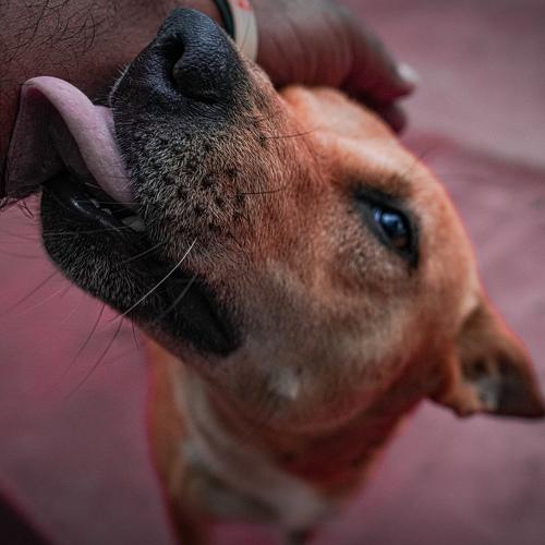 Photo #3876314