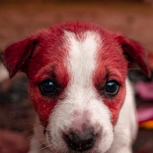 Photo #3876318