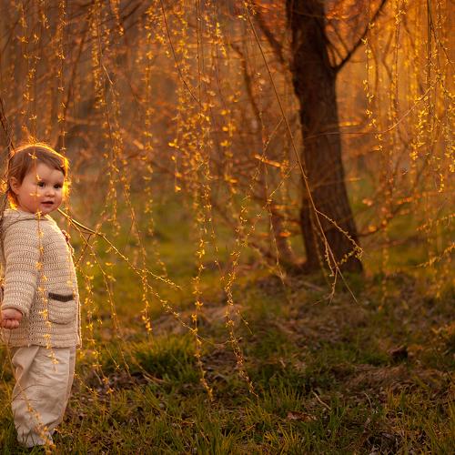 Photo #3876375
