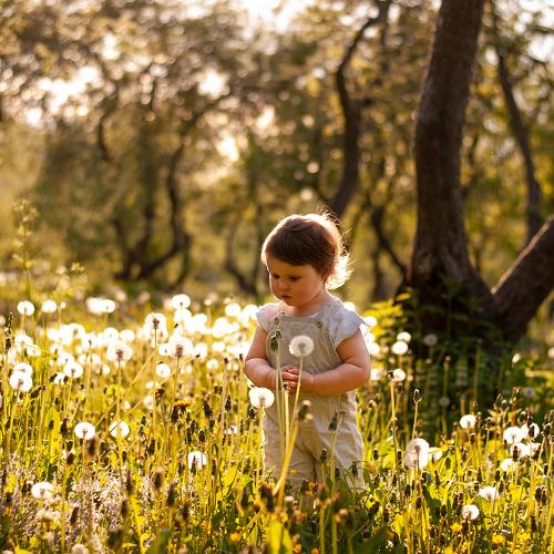 Photo #3876434