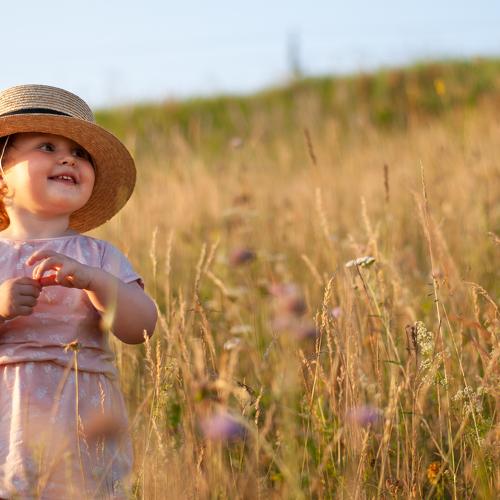 Photo #3876633