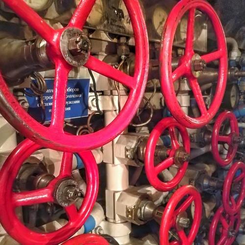 Photo #3876799