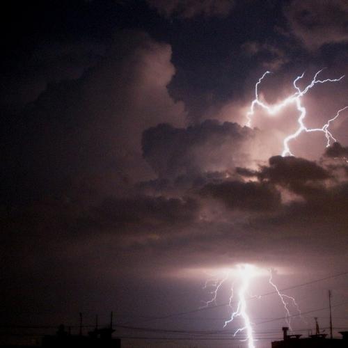 Photo #3876952