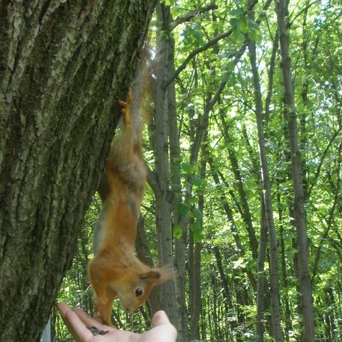 Photo #3876953