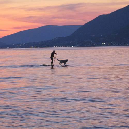 Photo #3877636