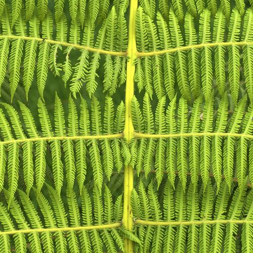 Photo #3878525