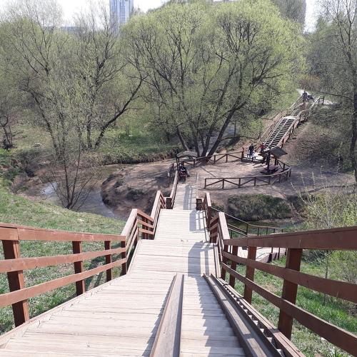 Photo #3878563