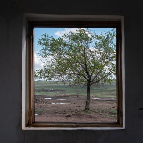 Landscape in the window
